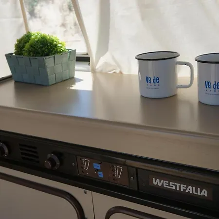 Va De Vans * Κοραλέχο