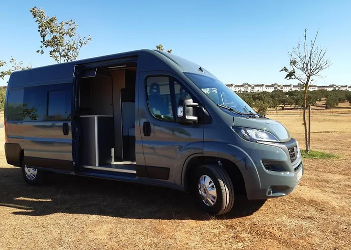 Va De Vans Κοραλέχο